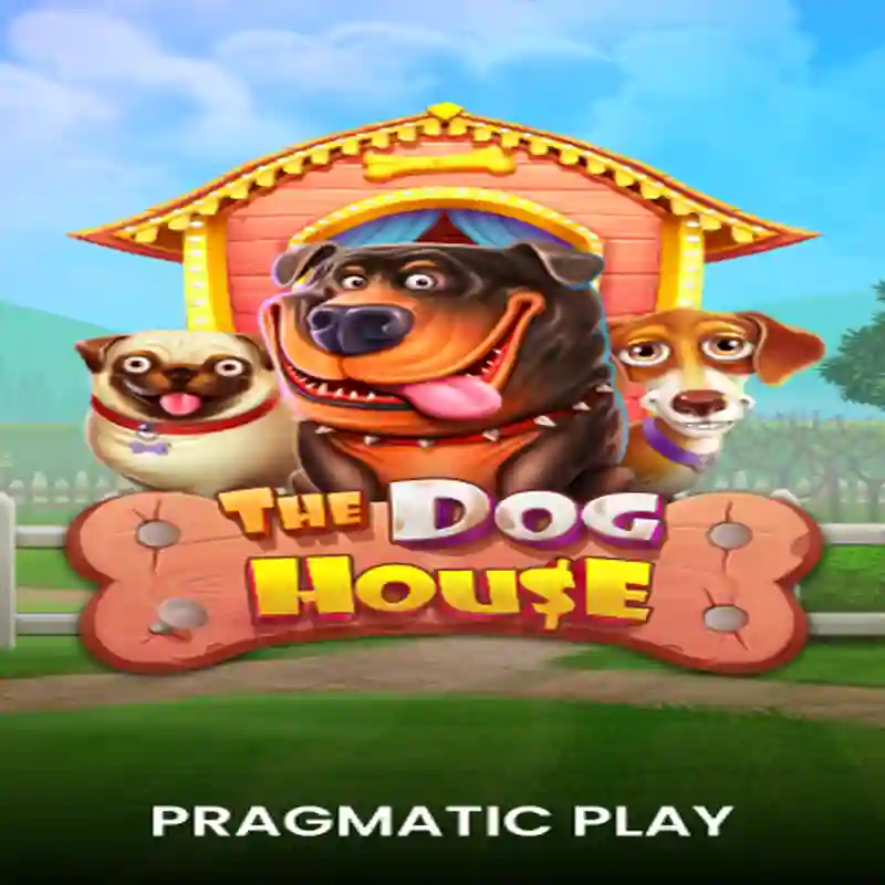 Tragamonedas The Dog House en iLot Casino México